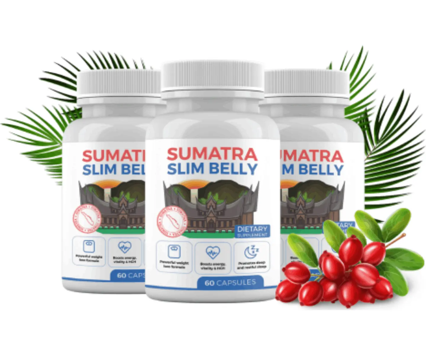 sumatra slim belly tonic