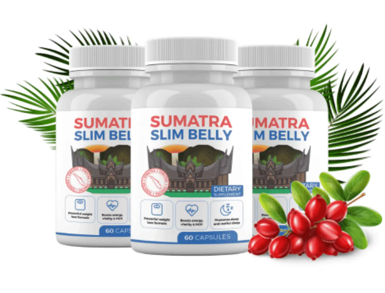 sumatra slim belly tonic discount